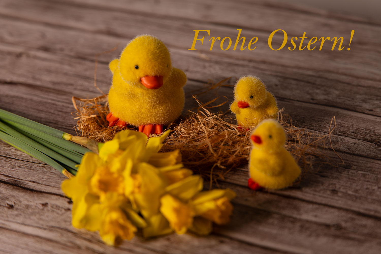 Drei gelbe Deko-Küken in einem Strohnest neben frischen gelben Narzissen und dem Schriftzug „Frohe Ostern!“ auf einem Holztisch.